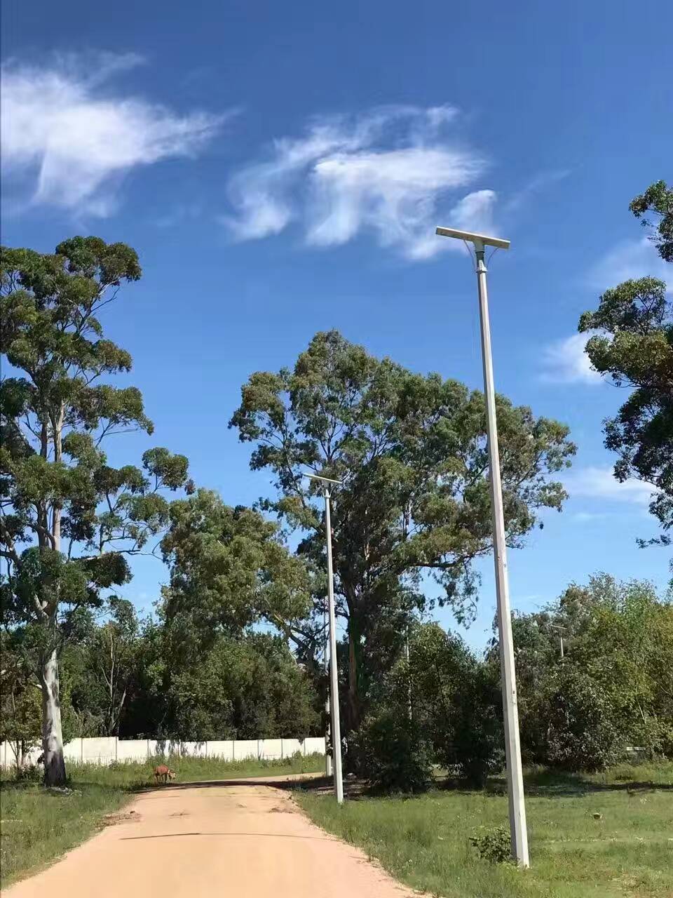 Philipines Solar Street Light Project from love and solar