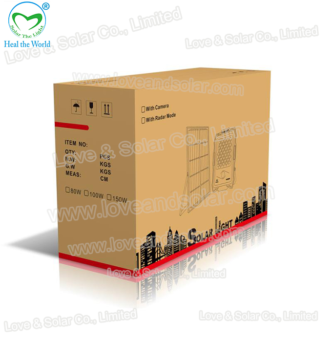 Camera Solar Light MJ-DW902